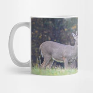 White Tailed Deer Mug